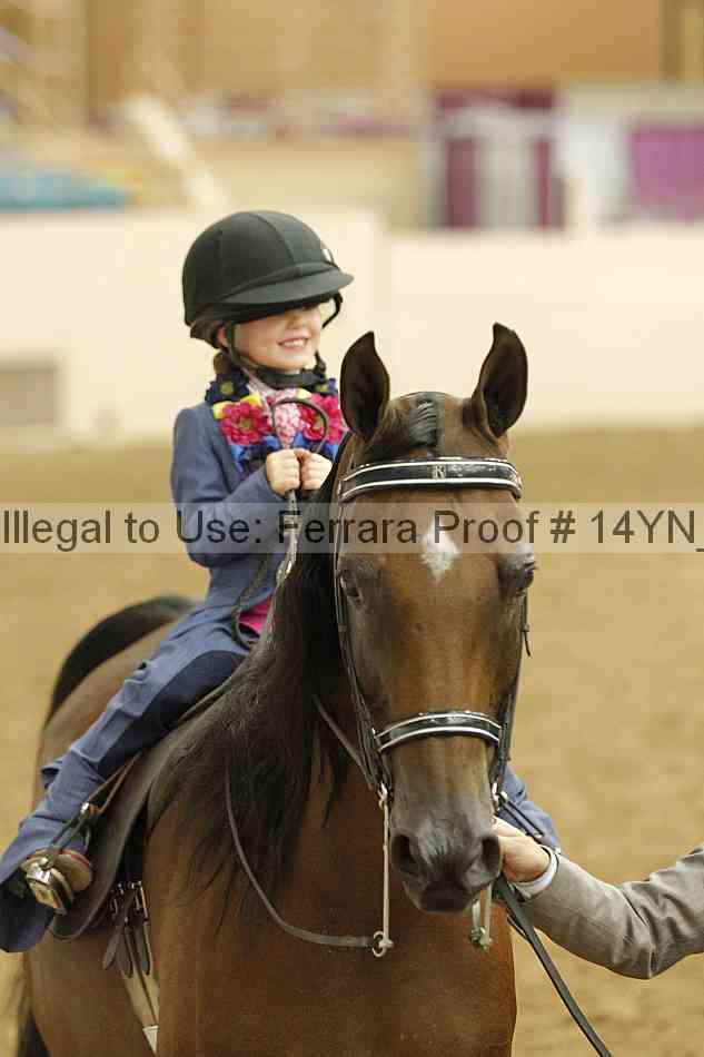 Proof Number 14yn_20310