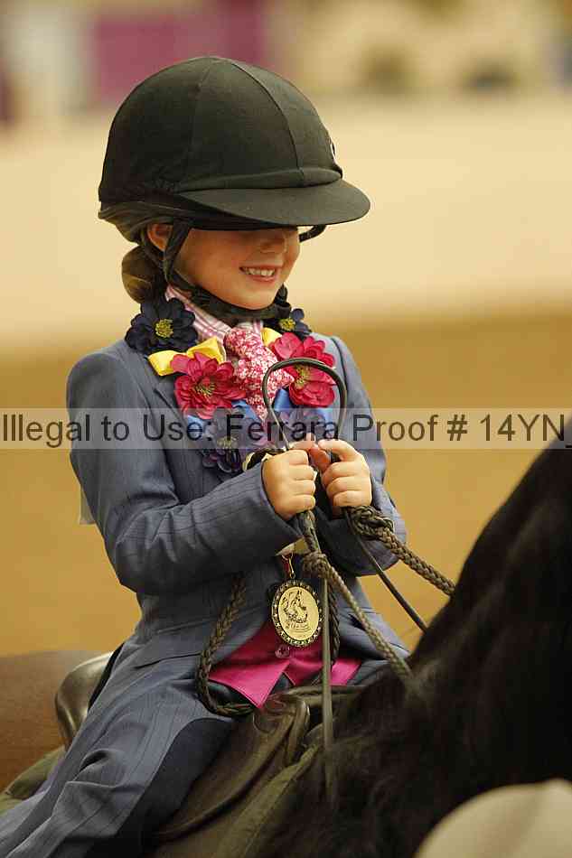 Proof Number 14yn_20312