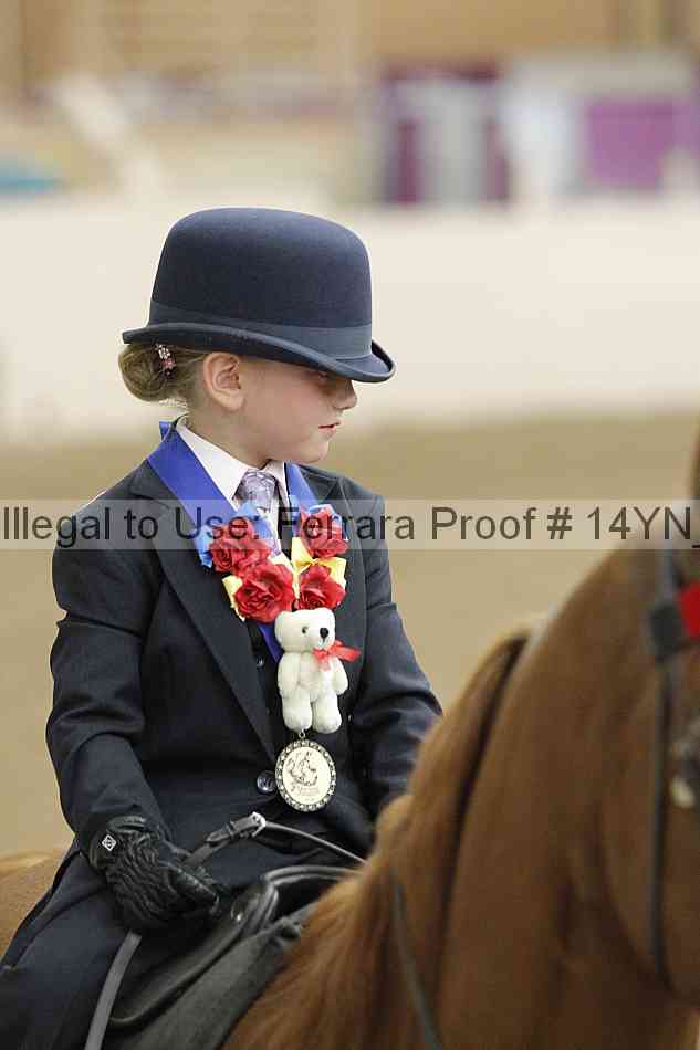 Proof Number 14yn_20321