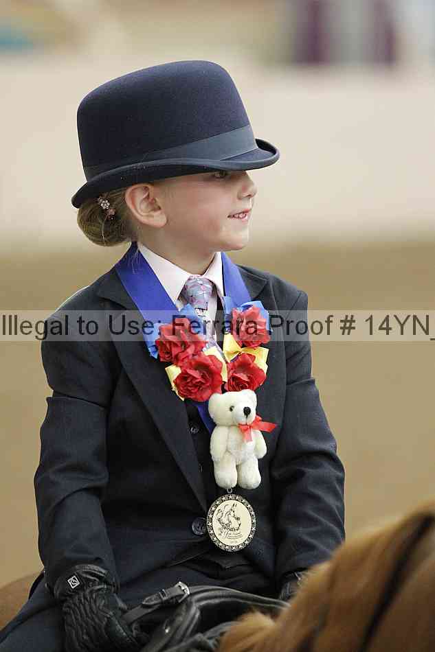 Proof Number 14yn_20327