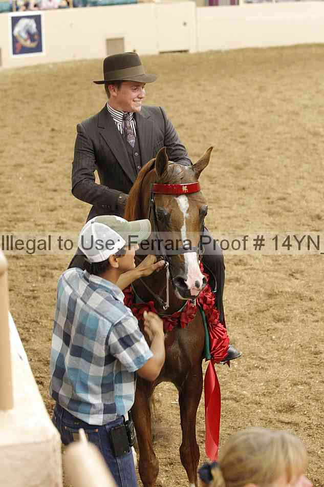 Proof Number 14yn_21547