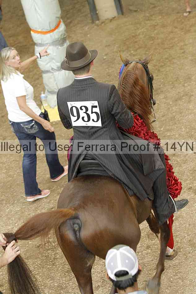Proof Number 14yn_21624