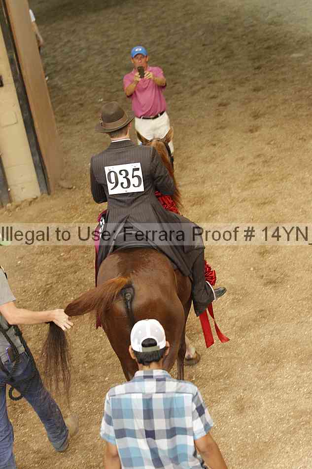 Proof Number 14yn_21625