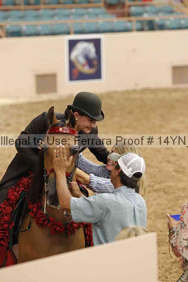 Proof Number 14yn_04492