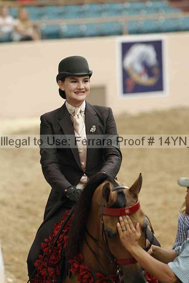 Proof Number 14yn_04503
