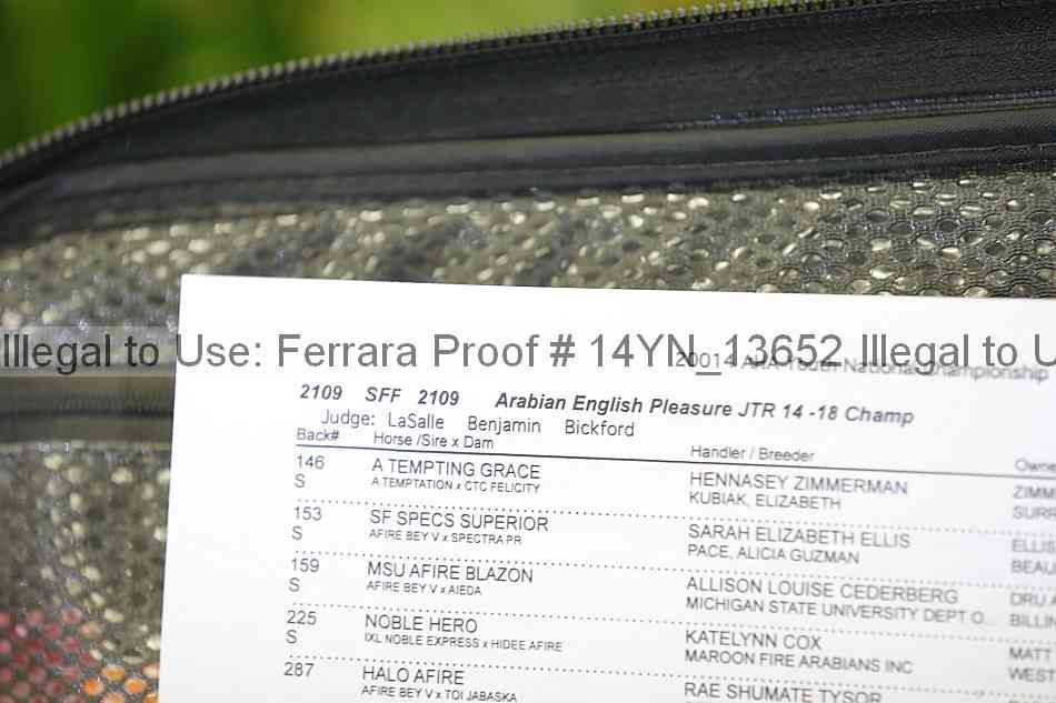 Proof Number 14yn_13652