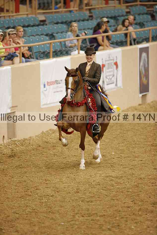 Proof Number 14yn_13795