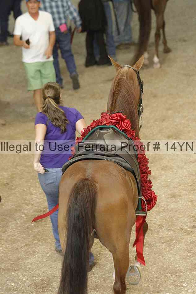 Proof Number 14yn_13809