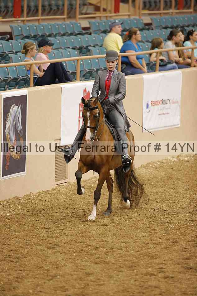 Proof Number 14yn_04679