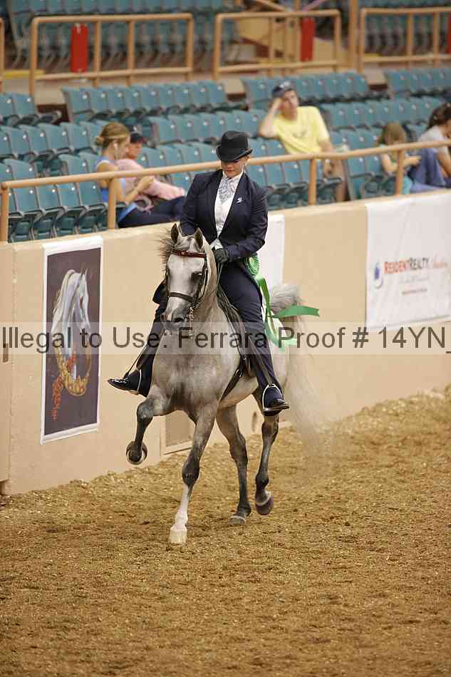 Proof Number 14yn_04736