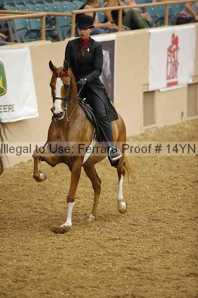 Proof Number 14yn_04804