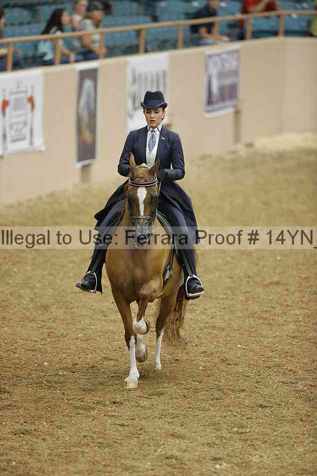 Proof Number 14yn_04805