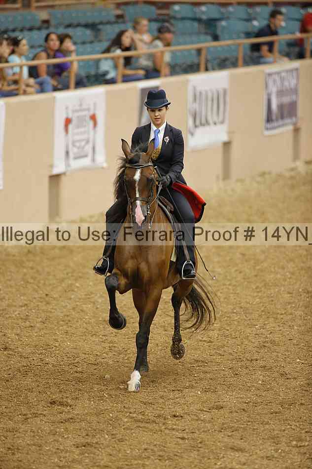Proof Number 14yn_04808