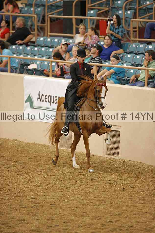 Proof Number 14yn_04810