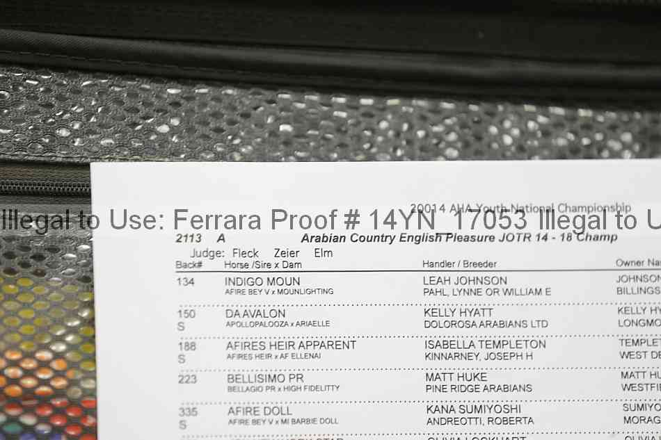 Proof Number 14yn_17053