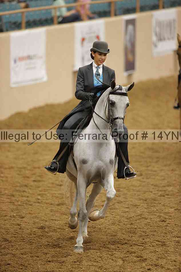 Proof Number 14yn_17072