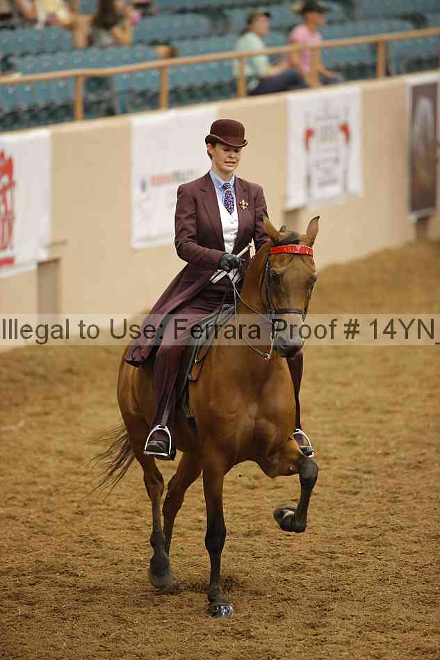 Proof Number 14yn_17082