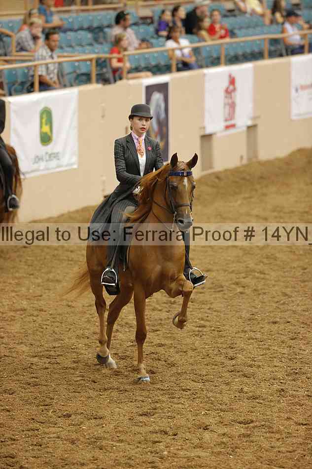 Proof Number 14yn_17089