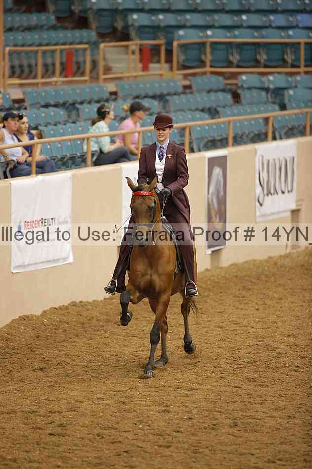 Proof Number 14yn_17106