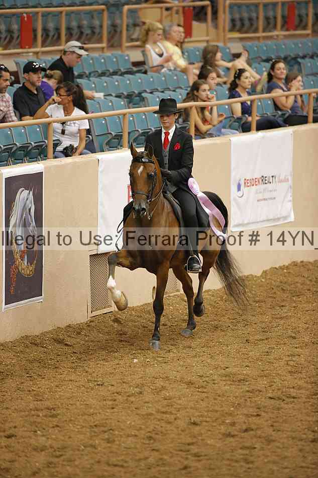 Proof Number 14yn_17115
