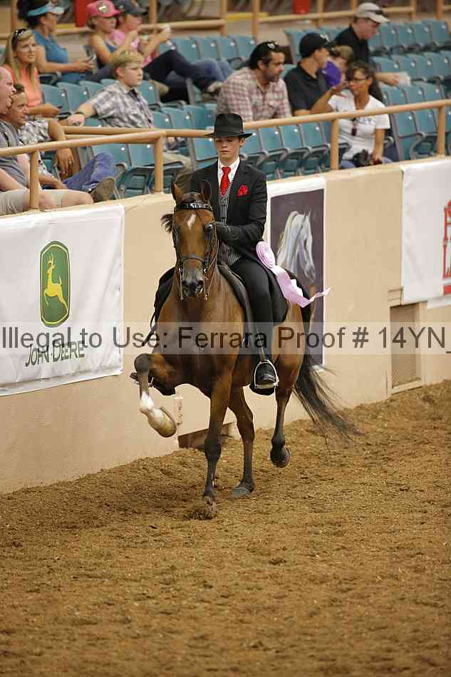 Proof Number 14yn_17117