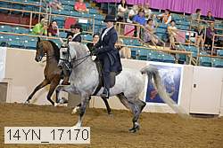 14yn_17170 thumbnail