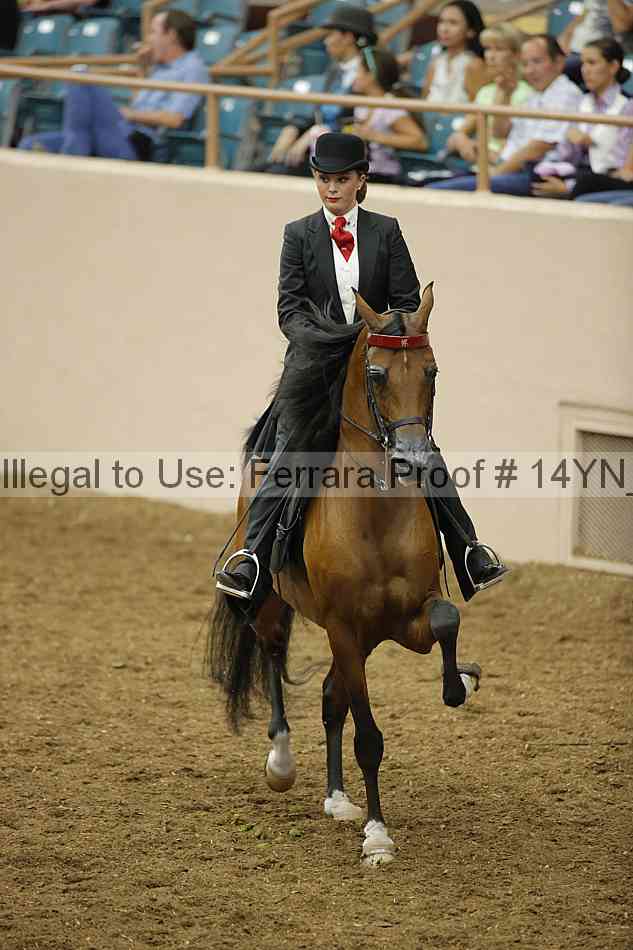 Proof Number 14yn_17195