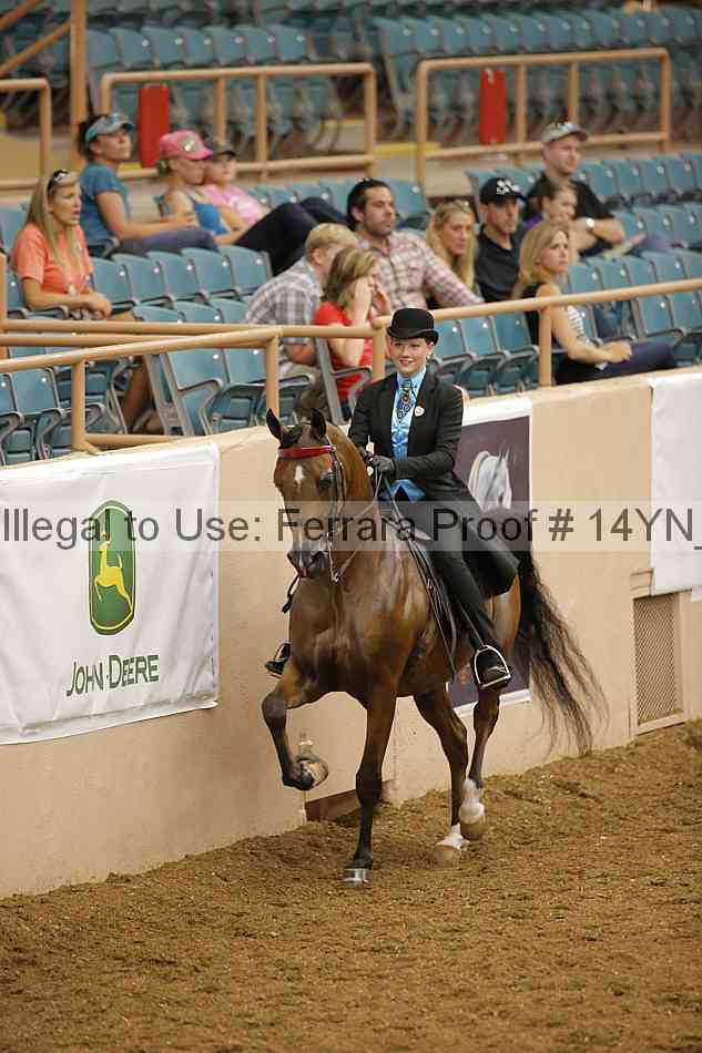 Proof Number 14yn_17204