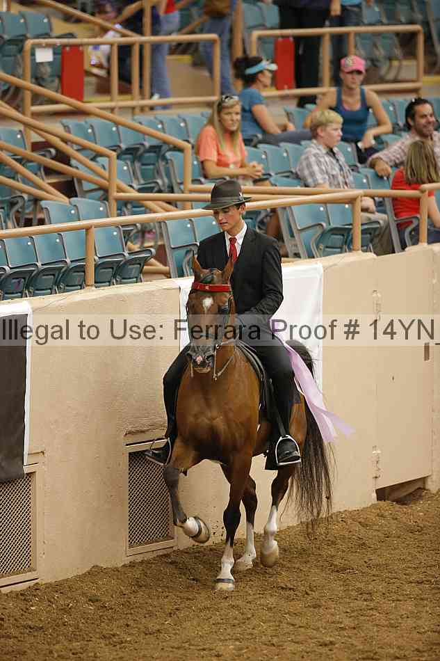 Proof Number 14yn_17220