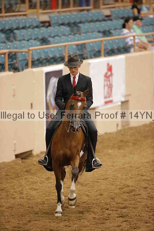 Proof Number 14yn_23008