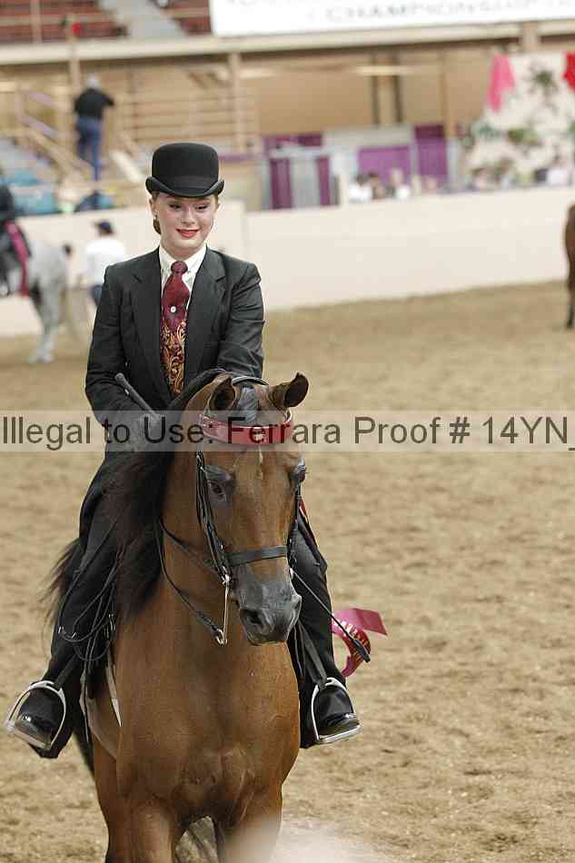 Proof Number 14yn_23093
