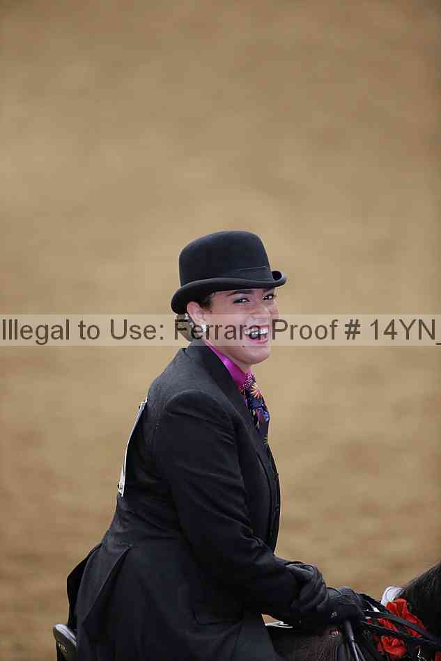 Proof Number 14yn_23129