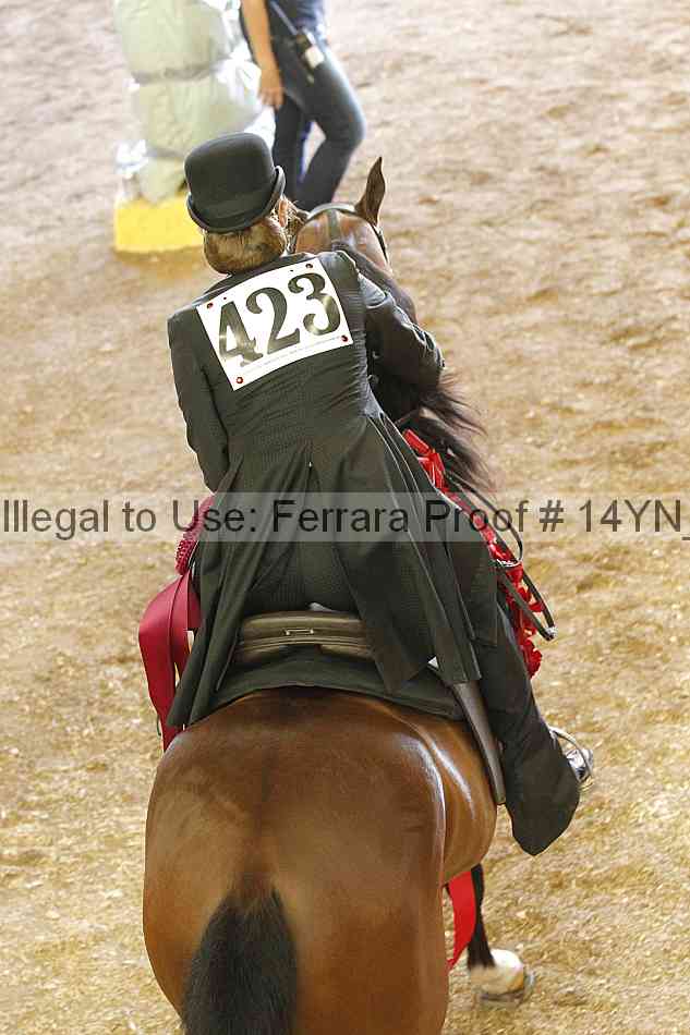 Proof Number 14yn_23225