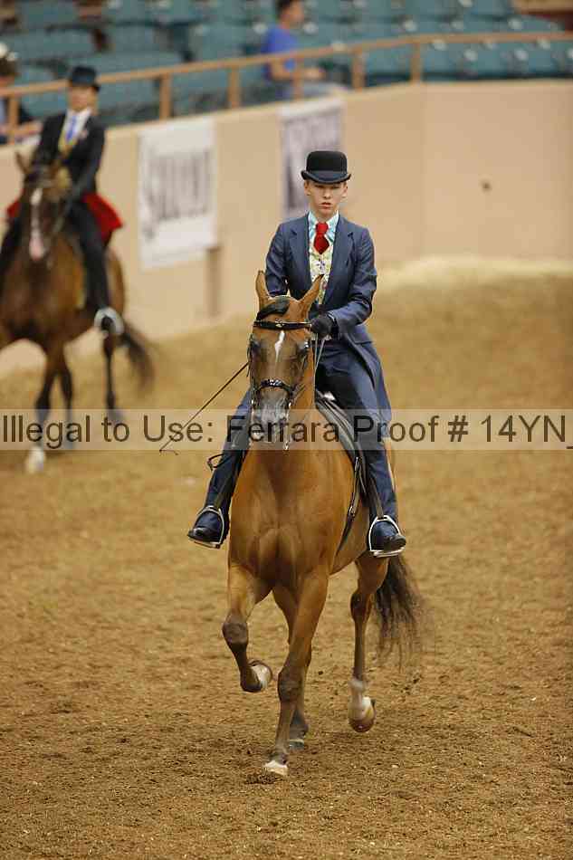Proof Number 14yn_07904