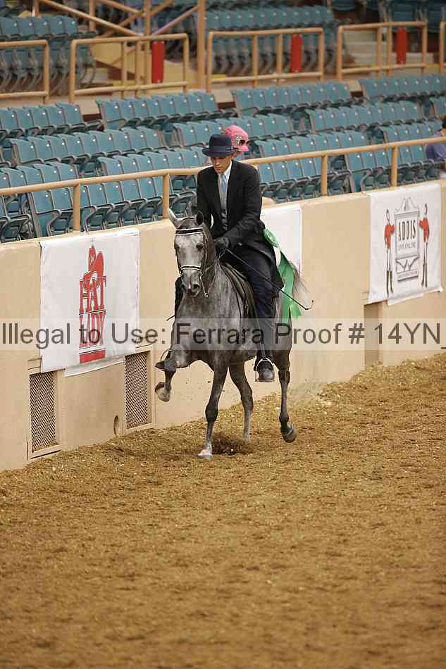 Proof Number 14yn_07931