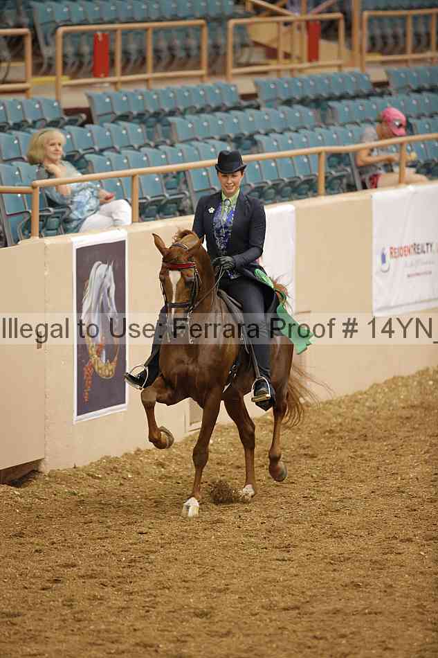 Proof Number 14yn_07938