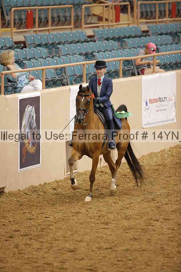 Proof Number 14yn_07941