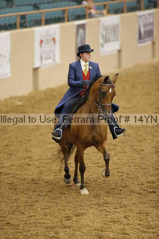 Proof Number 14yn_08115