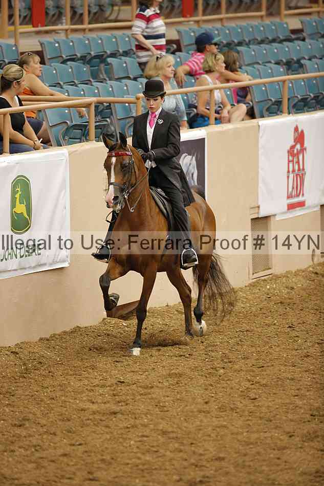 Proof Number 14yn_08147