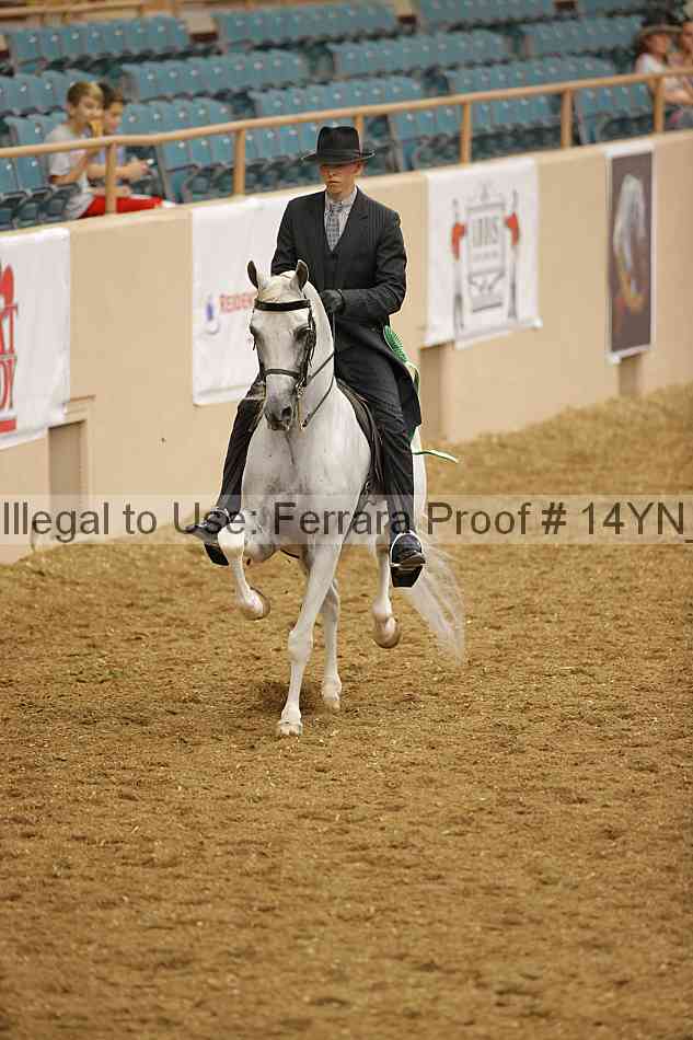 Proof Number 14yn_08185
