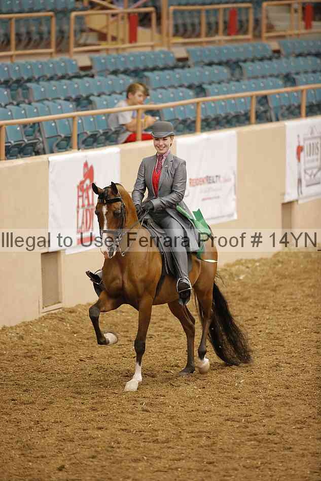 Proof Number 14yn_08190
