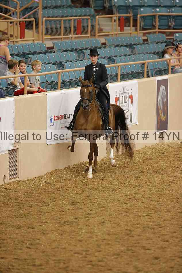 Proof Number 14yn_08560