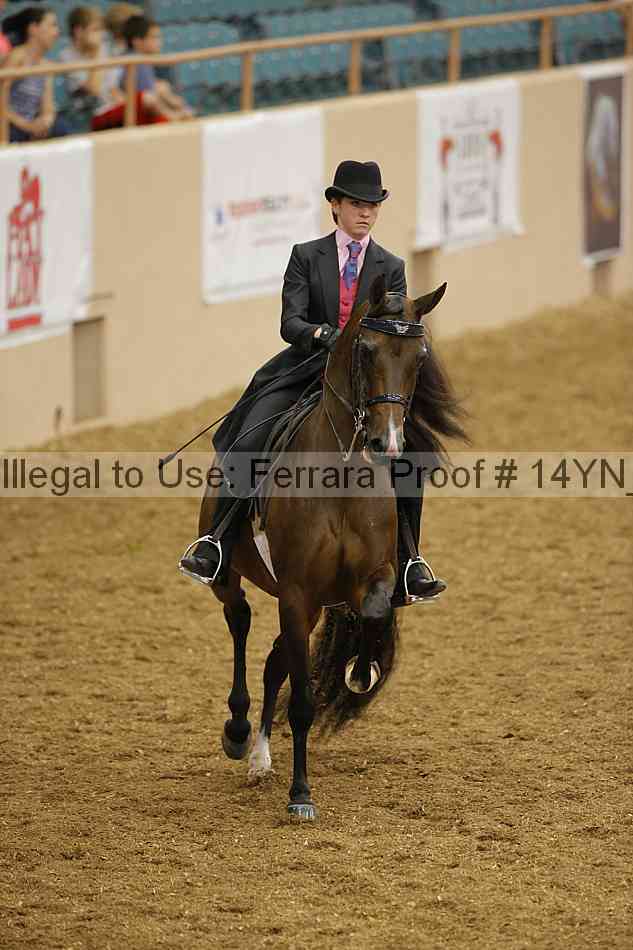 Proof Number 14yn_08581