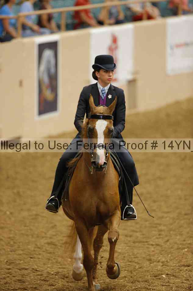 Proof Number 14yn_08611
