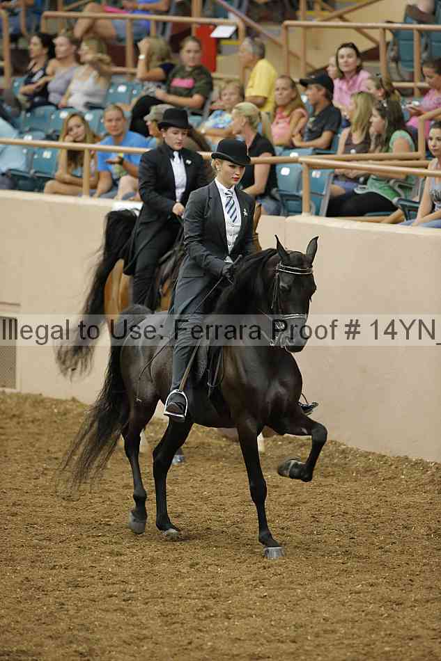 Proof Number 14yn_08615