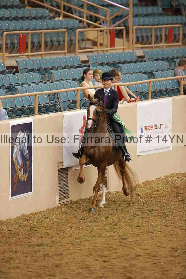 Proof Number 14yn_08633