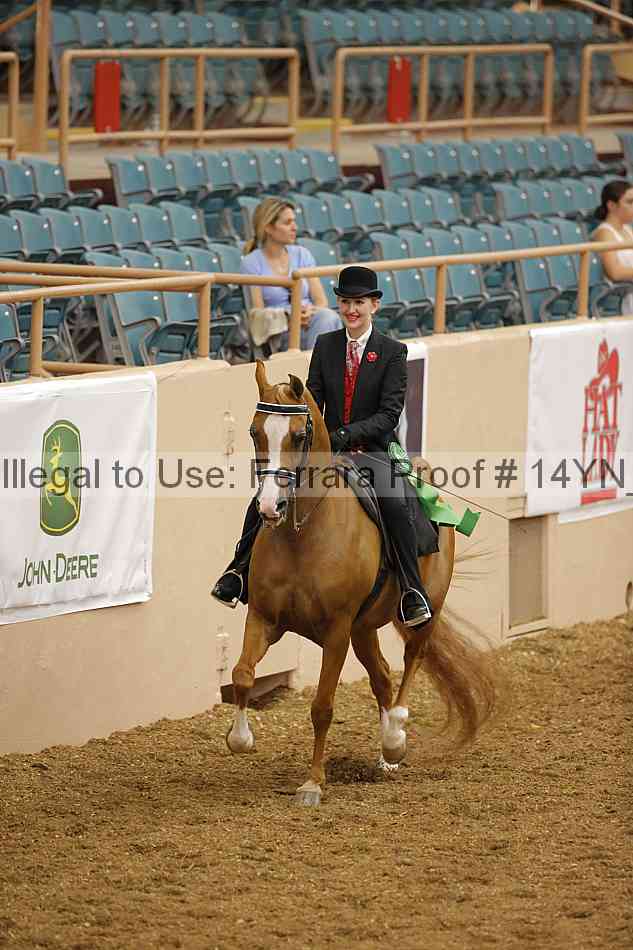 Proof Number 14yn_08646