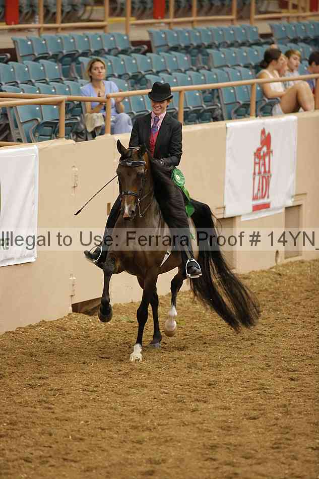 Proof Number 14yn_08647
