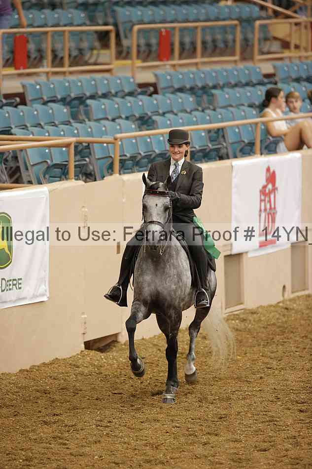 Proof Number 14yn_08658