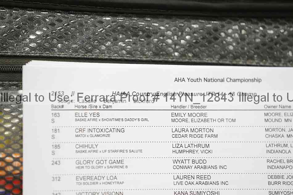 Proof Number 14yn_12843